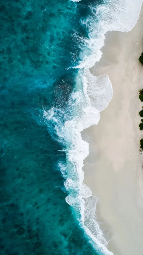 Vue aérienne d'une plage et de l'écume des vagues