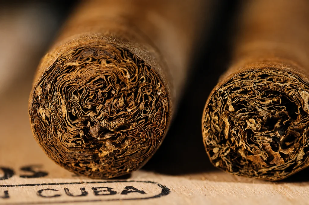 Gros plan sur deux cigares cubains